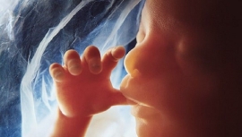Experto en obstetricia y ginecología le dice al Congreso que las vacunas COVID-19 “reflejaron” los mismos efectos que los medicamentos químicos para el aborto.