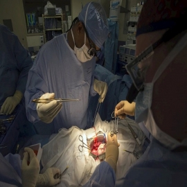 Aumenta la desaparición de jóvenes en China. ¿Víctimas de la sustracción de órganos?