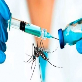 Gobierno argentino anunció que no se incluirá en el calendario nacional la vacuna contra el dengue