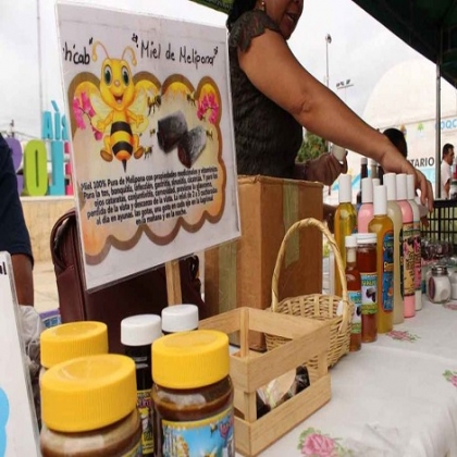 Chetumal: Impulsan la producción de miel en el sur de Quintana Roo