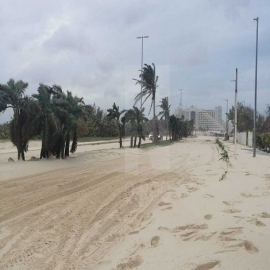Cancún: Zeta destruye nidos de tortuga y cubre de arena el bulevar Kukulcán