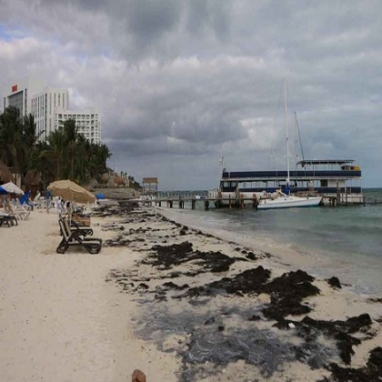 Cancún: Sargazo amenaza las costas del Caribe Mexicano