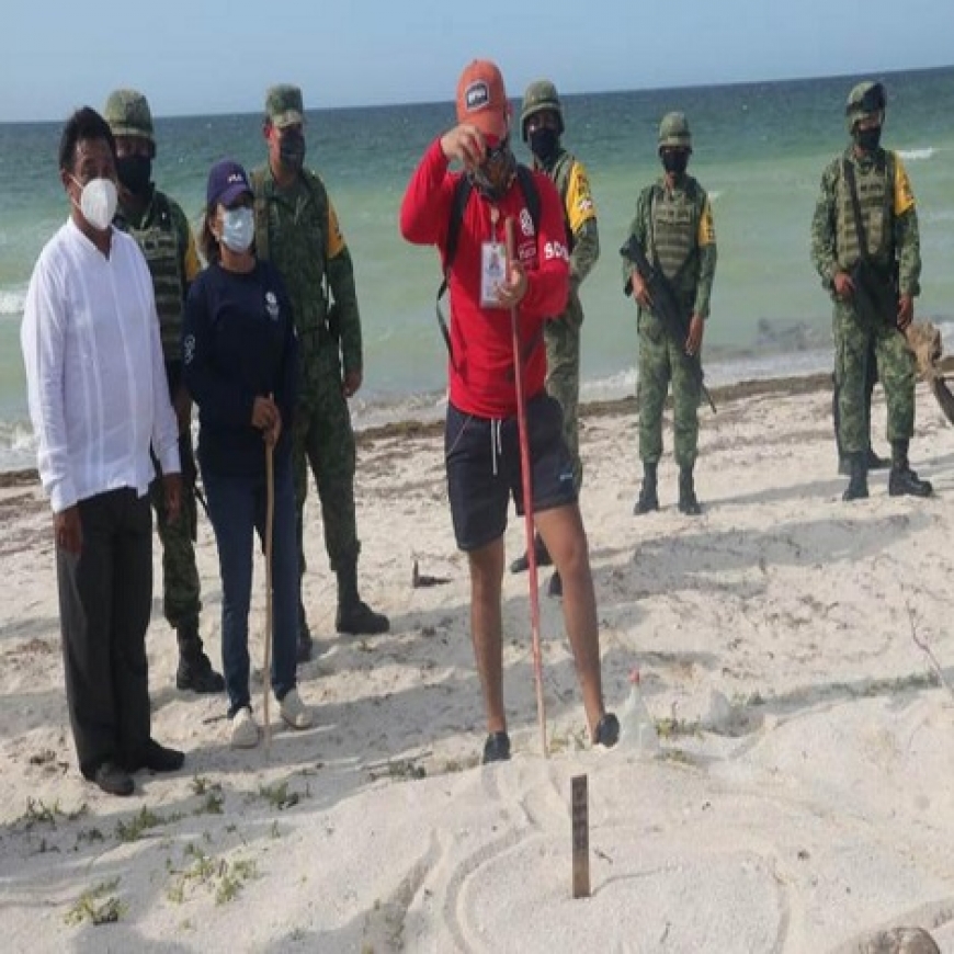 Ej Rcito Evitar Saqueo Y Destrucci N De Nidos De Tortuga En Telchac Puerto