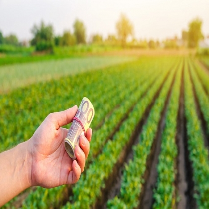 Los agricultores alemanes advierten de una subida de precios en los alimentos "sin precedentes" en el marco de la crisis ucraniana