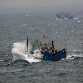 China: de la devastadora pesca ilegal a experimentos con peces en el espacio