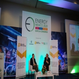 Romo: gobierno e IP presentarán plan energético por 100 mil millones de dólares