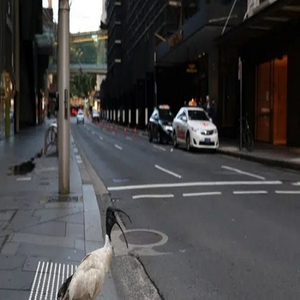 Sydney desplegará tropas EXTRA para hacer cumplir el bloqueo mientras se extienden las restricciones después de que se detectara UN solo caso