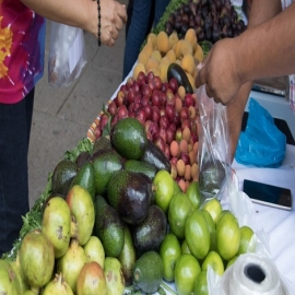 El flavonol en las frutas, verduras y el té reduce el riesgo de sufrir demencia del Alzheimer