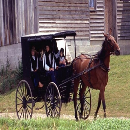 El “voto amish” y el alto precio que pagaron los demócratas por su intervencionismo estatal