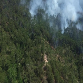 Intenso calor vuelve incontrolables los incendios forestales en Quintana Roo