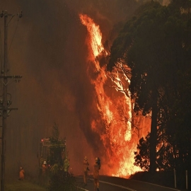 Australia en llamas: imágenes postapocalípticas y millones de animales muertos