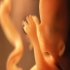 Los científicos ahora pueden cultivar embriones humanos sintéticos en un laboratorio sin óvulos ni espermatozoides